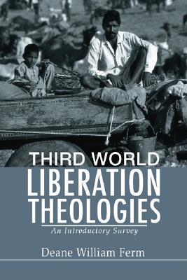Third World Liberation Theologies: An Introductory Survey (Paperback)