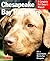 Chesapeake Bay Retrievers: Everything About Purchase, Care, Nutrition, Behavior, and Training (Complete Pet Owner's Manual)