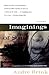 Imaginings of Sand by André Brink