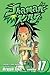 Shaman King, Vol. 17: The S...