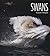 Swans (Living Wild)