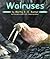 Walruses (Pebble Books)
