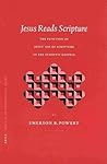 Jesus Reads Scripture: The Function of Jesus' Use of Scripture in the Synoptic Gospels (Biblical Interpretation Series, 63)