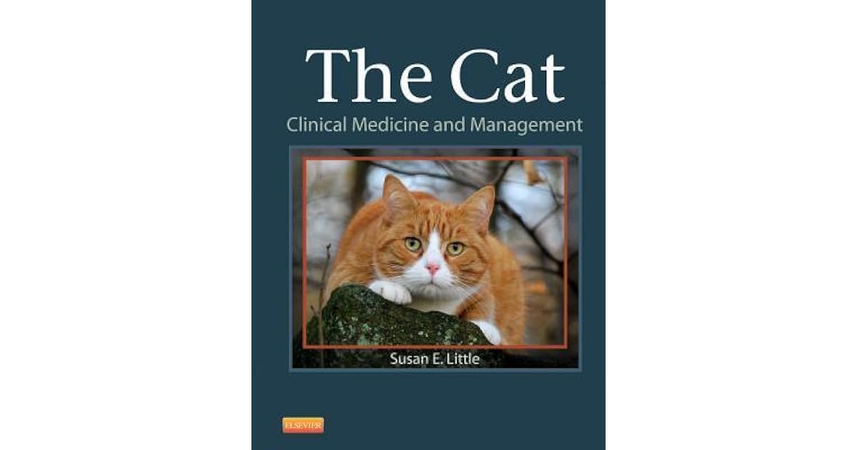 the cat susan little