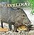 Javelinas (Look West Series)