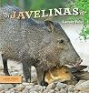 Javelinas (Look West Series) Javelinas (Look West Series)