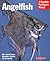 Angelfish: Everything About...