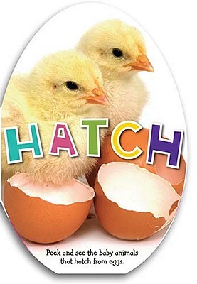 Hatch (Board Book)