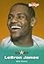 Lebron James by Mark   Stewart