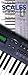 The Gig Bag Book of Scales for All Keyboards