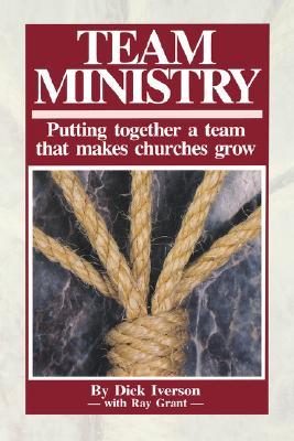 Team Ministry (Paperback)