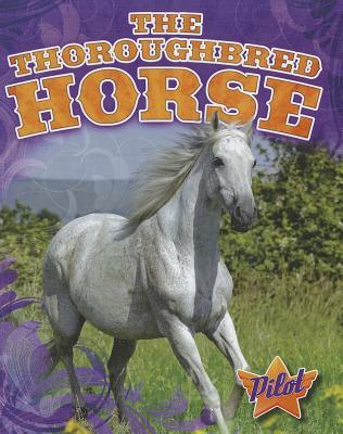 The Thoroughbred Horse (Horse Breed Roundup)