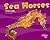 Sea Horses (Pebble Plus)