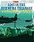 Lost in the Bermuda Triangle and Other Mysteries (Incredible True Adventures)