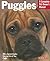 Puggles: Everything About P...