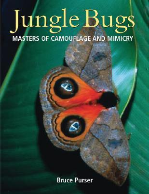 Jungle Bugs: Masters of Camouflage and Mimicry (Paperback)