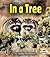 In a Tree (First Step Nonfiction: Animal Homes)