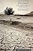 Drylands (The Natural Environment: Problems and Management)