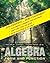 Algebra: Form and Function