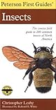 Peterson First Guide To Insects Of North America