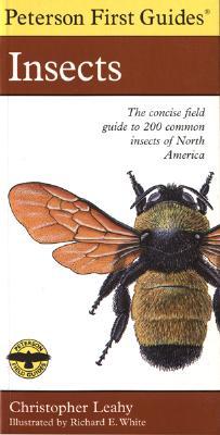 Peterson First Guide To Insects Of North America (Paperback)