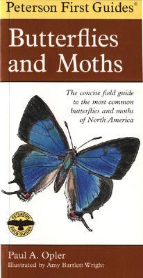 Butterflies and Moths (Paperback)