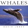 Whales (Wildlife Series) Whales (Wildlife Series)