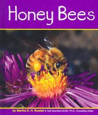 Honey Bees (Insects)