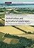 Globalisation and Agricultural Landscapes by Jørgen Primdahl