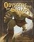 Odysseus and the Cyclops (Greek Myths)