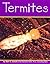 Termites (Insects)