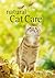 Natural Cat Care