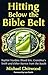 Hitting Below the Bible Belt by Michael Chitwood