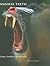 Mammal Teeth: Origin, Evolu...