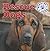 Rescue Dogs (Working Dogs)