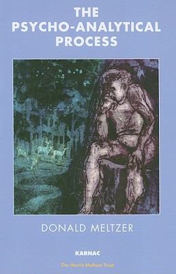 The Psycho-Analytical Process (The Ronald Harris Trust Library; No. 1)