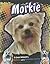 Morkie: A Cross between a M...