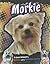 Morkie: A Cross between a Maltese and a Yorkshire Terrier (Designer Dogs)