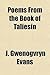 Poems from the Book of Taliesin by Taliesin