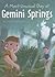A Most Unusual Day at Gemini Springs by Samira Yako Cholagh