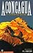 Aconcagua: A Climbing Guide