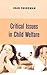 Critical Issues in Child Welfare (Foundations of Social Work Knowledge Series)