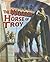 The Wooden Horse of Troy (Greek Myths)