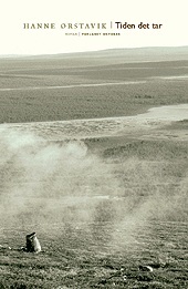 Tiden det tar (Hardcover)