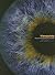 Viewpoints: Visual Anthropo...
