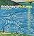 Hockney's Pictures