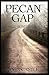 Pecan Gap: A Jake Somers Novel