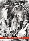 The Celtic Druids