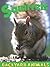 Squirrels (Backyard Animals)