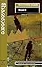 Shakespeare - Richard II by Martin Coyle